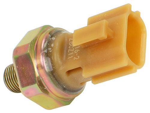 9042518080
